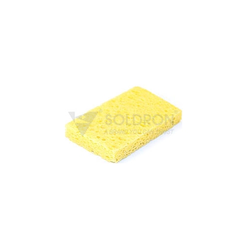 Sponge Square