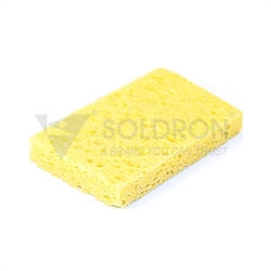 Sponge Square
